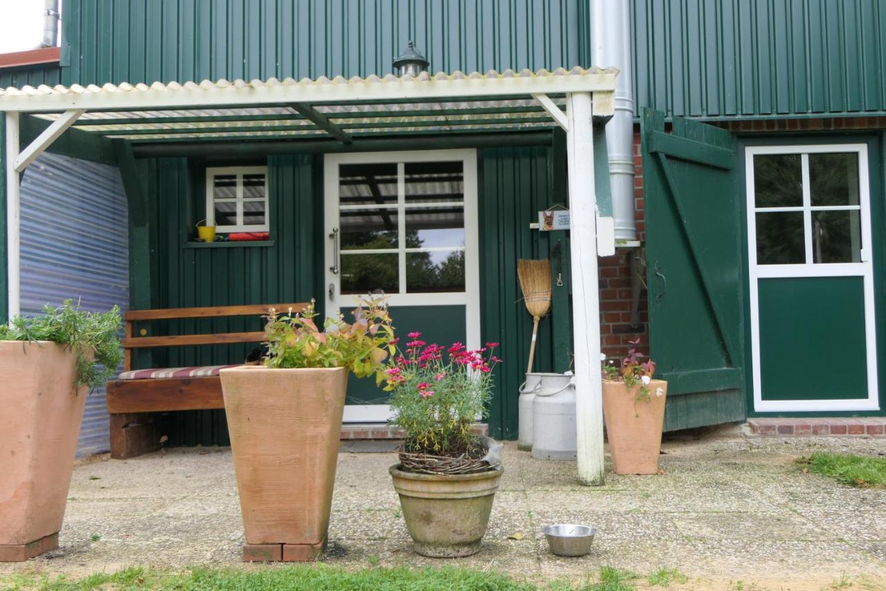 Ferienwohnung Weideglueck Osten 외부 사진